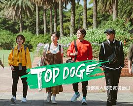911爆料网红领巾《TOP DOG》免费在线观看