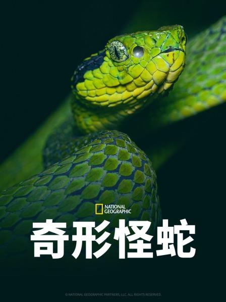 911黑料网《奇形怪蛇》免费在线观看